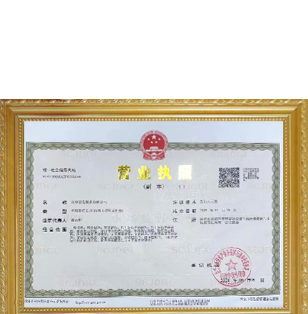 雪艺塑业